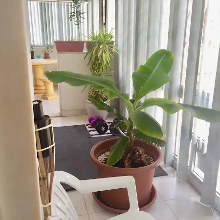 Affittacamere Quarto Em Apartamento Completo, Entre Lisboa E Sintra! Queluz